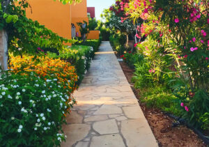 Projects back garden.jpg