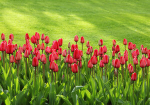 Projects projects 08.jpg